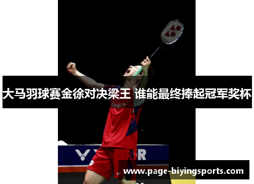 大马羽球赛金徐对决梁王 谁能最终捧起冠军奖杯